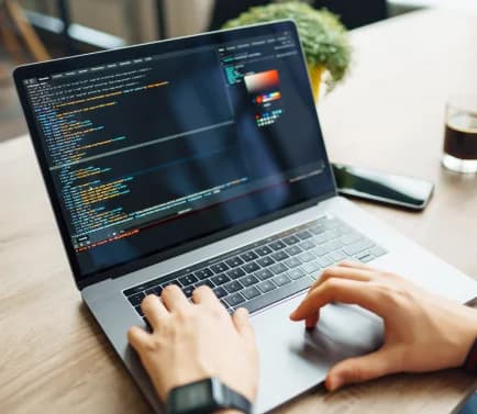 Web Development